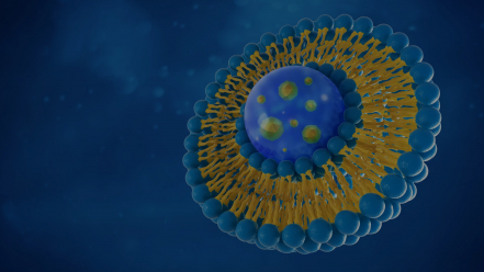 Liposomal Drug 3D Rendering