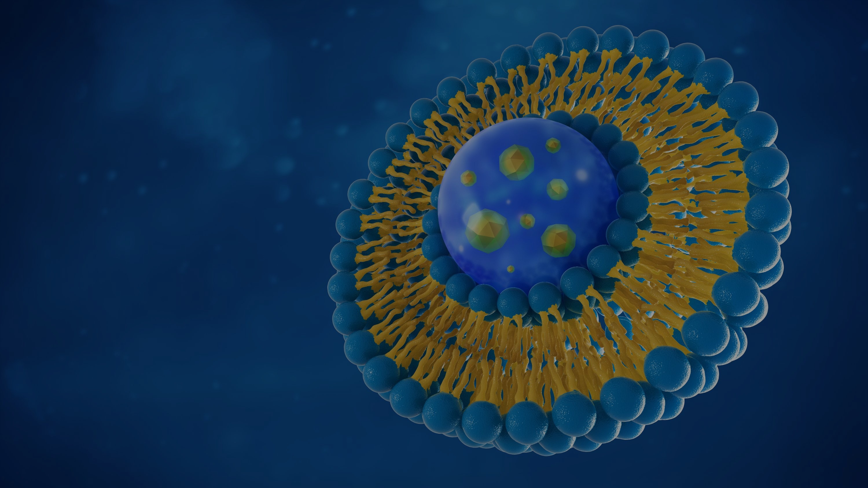 Liposomal Drug 3D Rendering