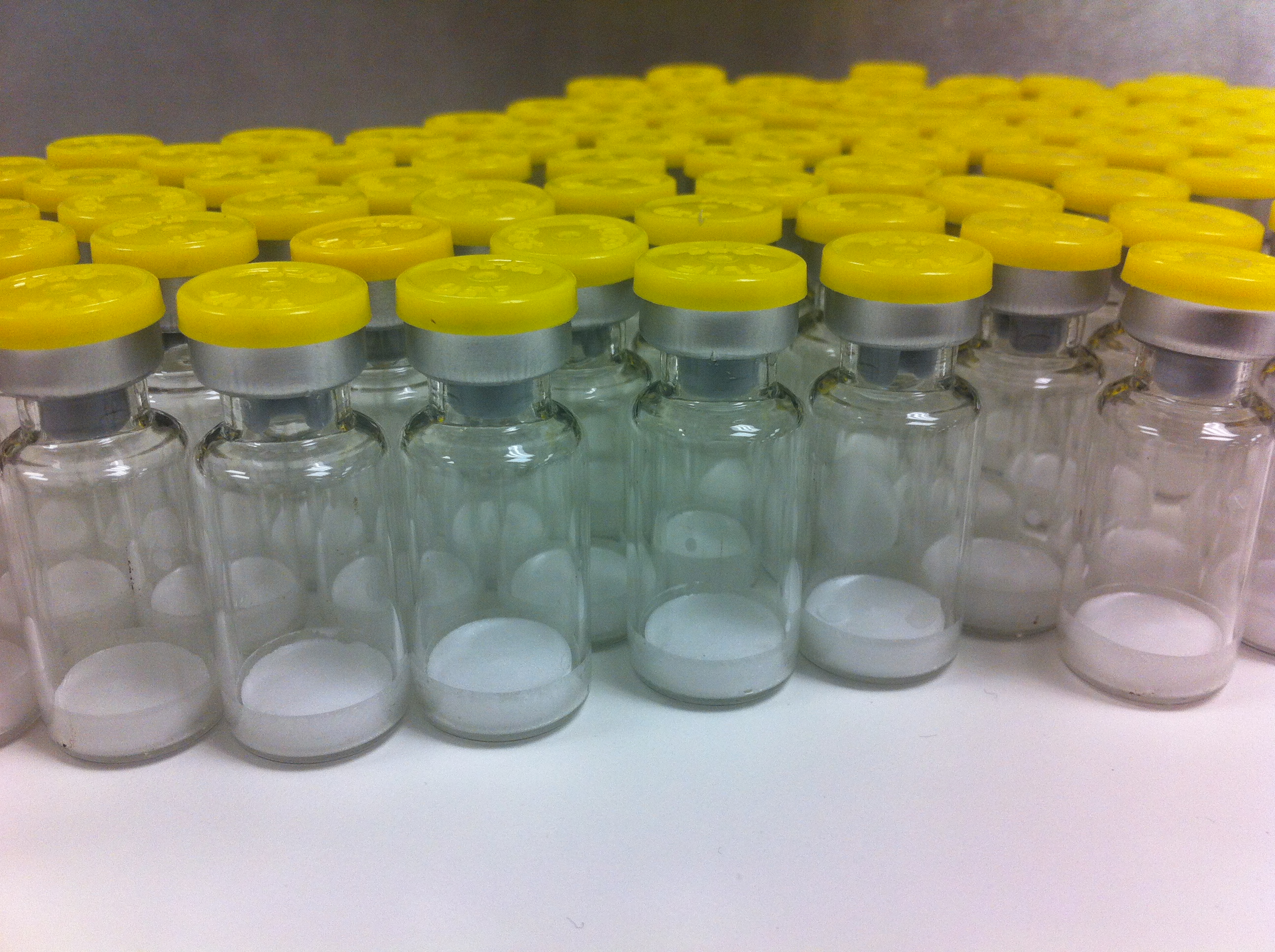 Lyophilized Formulation
